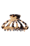 7800 Leopard - Pack of 6