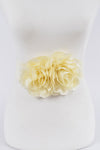 5586 Ivory - Pack of 6