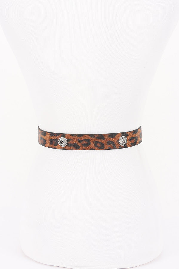 8698 Leopard - Pack of 6