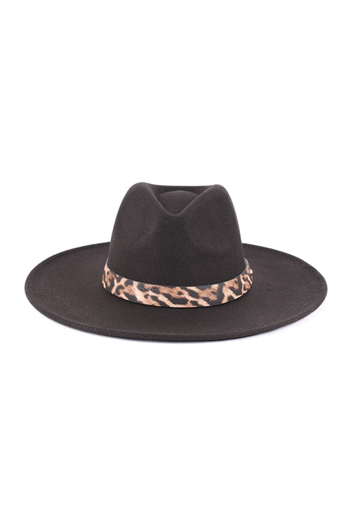 Felt Fashion Brim Hat With Leopard Accent Black - Pack of 6
