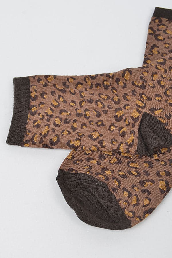 6258 Brown - Pack of 6