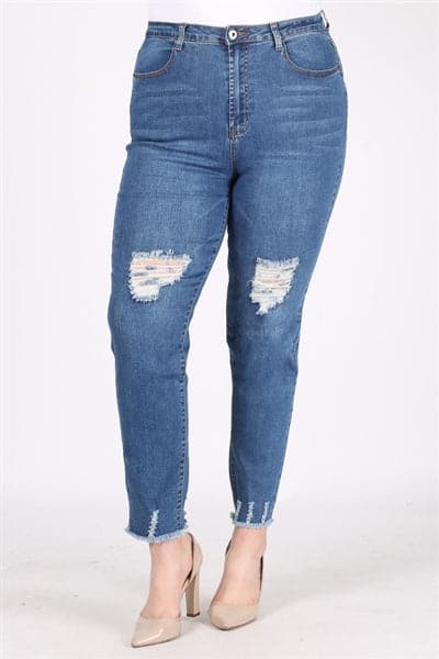 Plus Size Mid-Rise Distressed Denim Jeans - Pack of 6