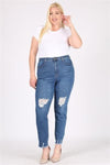 Plus Size Mid-Rise Distressed Denim Jeans - Pack of 6